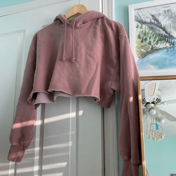 Aritzia TNA Crop Boyfriend Hoodie Mauve - Picture 6 of 6